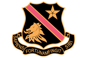 Hamilton Boys High School